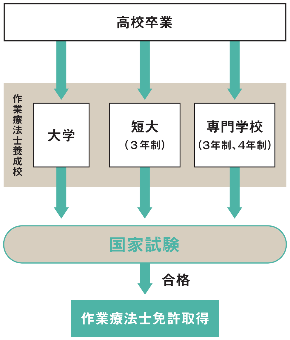 作業療法士になるには…