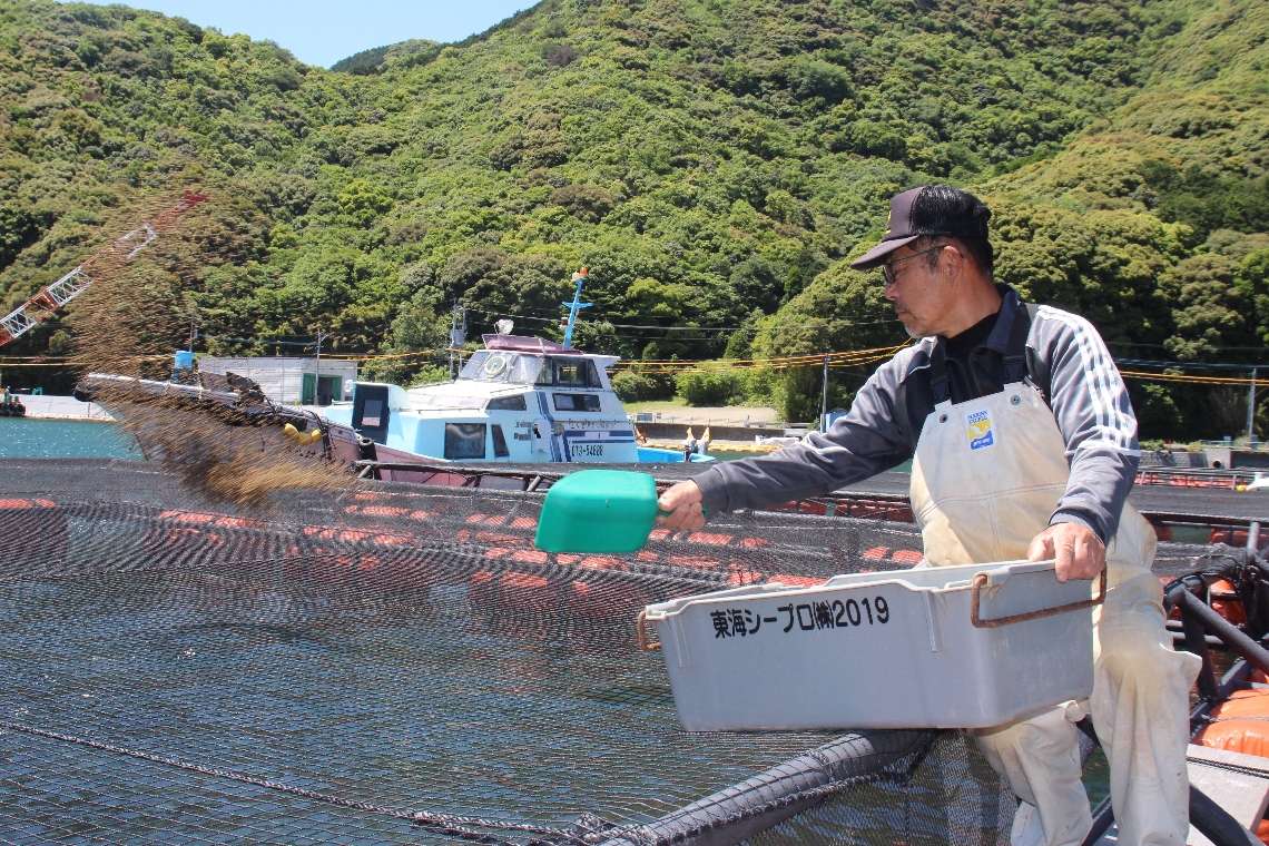 ブリ養殖と稚魚のモジャコ漁を手がける冨田俊一さん。「辞めるつもりはない。ただ、今の状況が続けば気持ちがあっても続けられない」＝佐伯市蒲江の入津湾