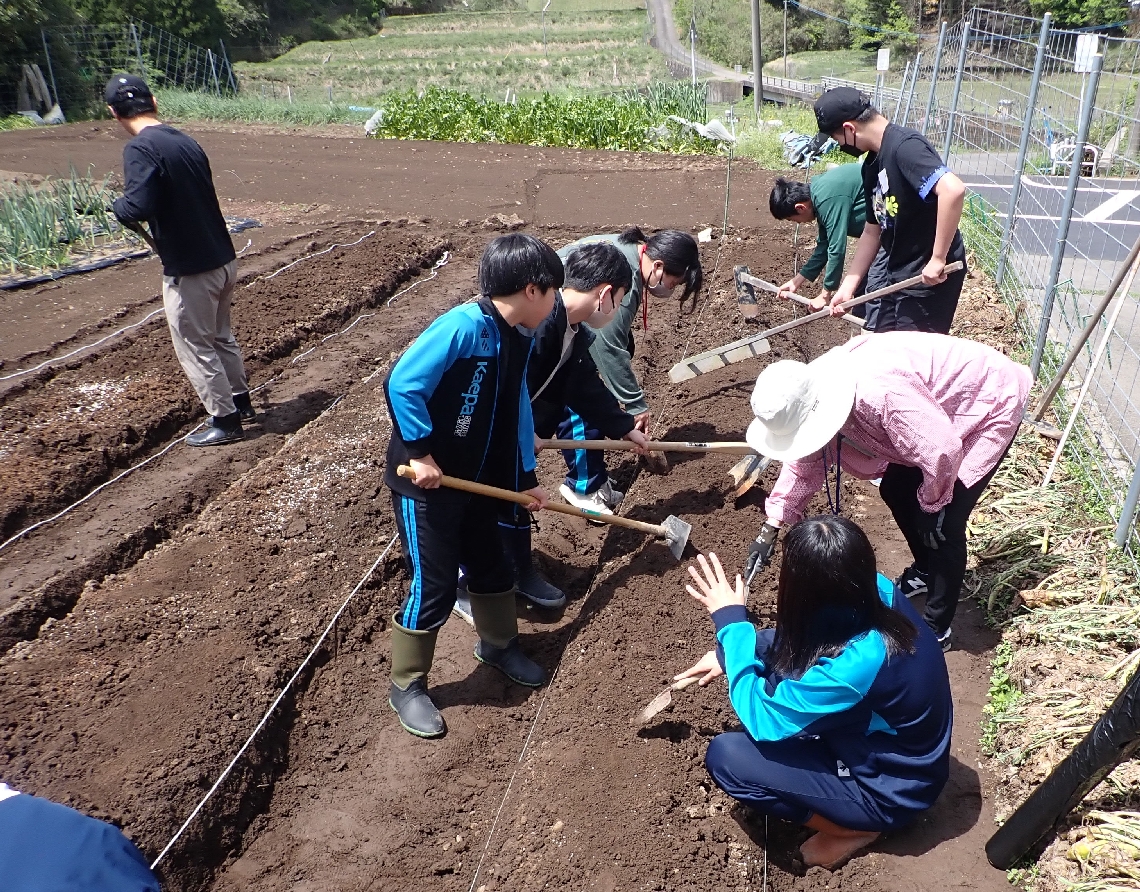 ４月に、畑作りに取り組み始めた生徒ら