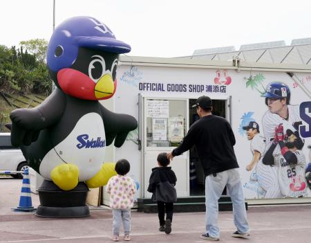 キャンプ地に設置されたヤクルトの球団マスコット「つば九郎」の模型＝浦添