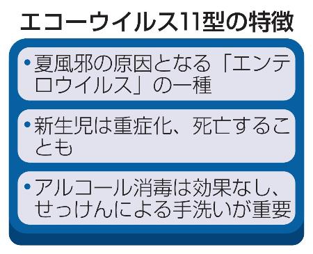 エコーウイルス１１型の特徴