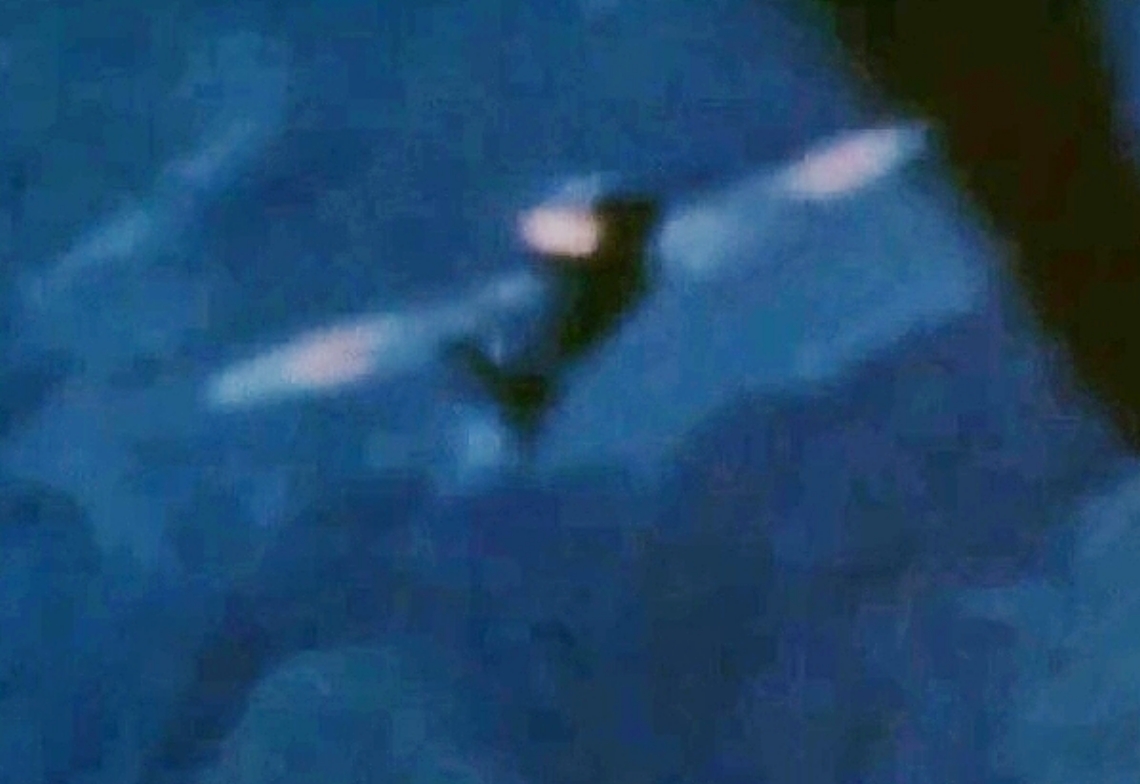 米軍機と交戦するゼロ戦。この後、日田市の山中に墜落した＝１９４５年８月８日、米軍撮影（豊の国宇佐市塾が公開した映像から）