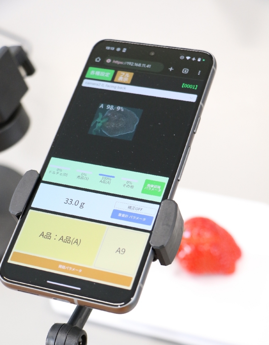 スマートフォンで撮影したイチゴの画像を、ウェブアプリを介してＡＩが判定する＝大分市の大分東高