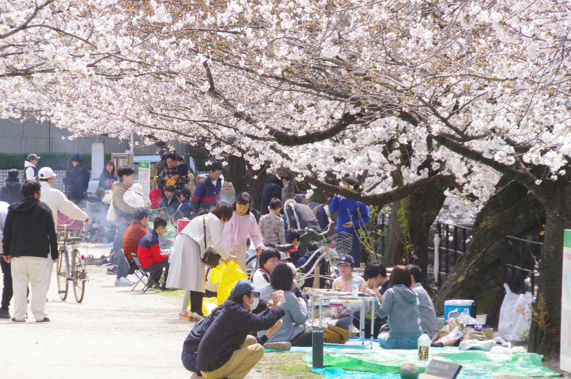 花見を楽しむ人たち＝２９日、大分市荷揚町