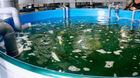 福島県浪江町にあるサバの陸上養殖場の施設＝１０日午後