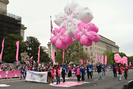 ワシントンの大通りで行われた「全米桜祭り」のパレード＝１２日（共同）