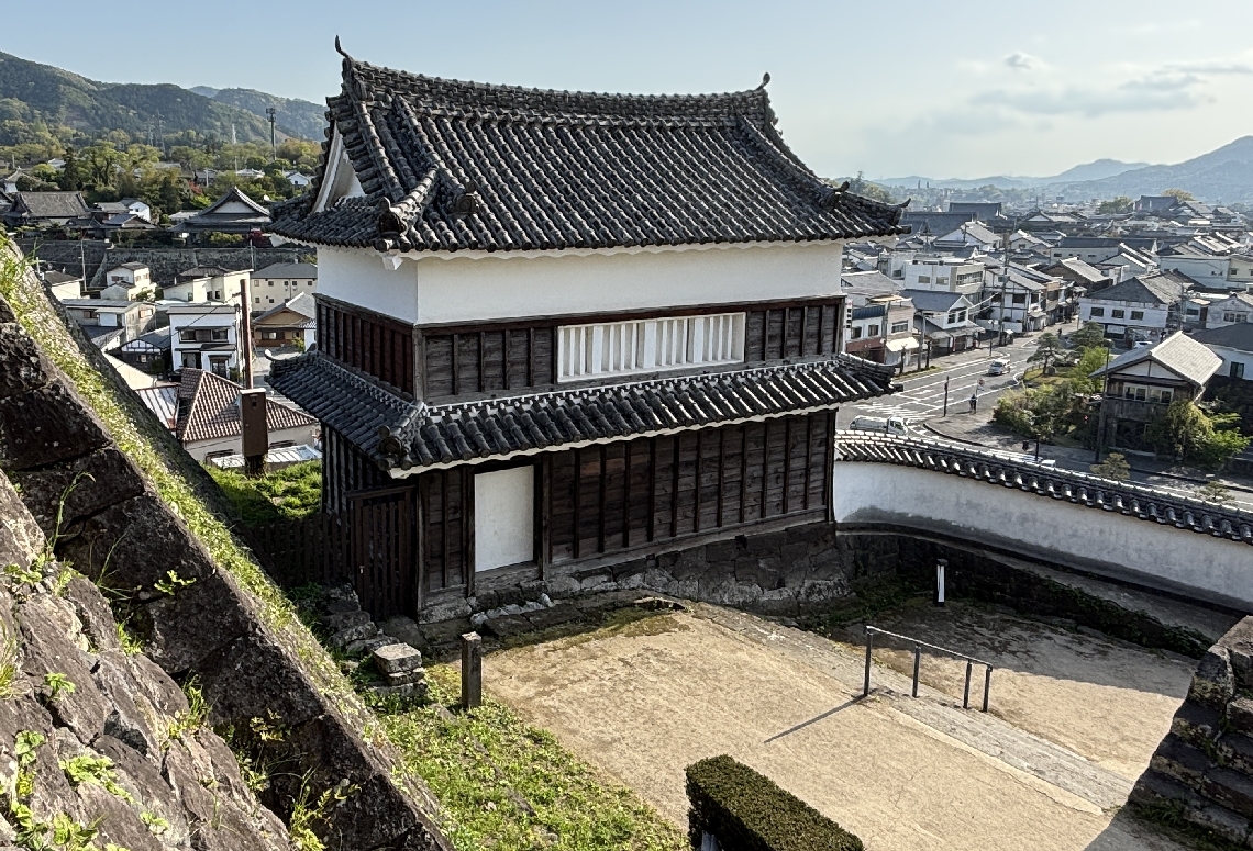 国内に４例の「重箱造り」の畳櫓と臼杵の町並み＝臼杵市臼杵