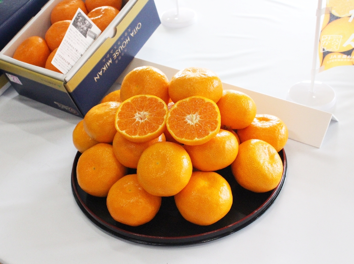 みずみずしいハウスミカン