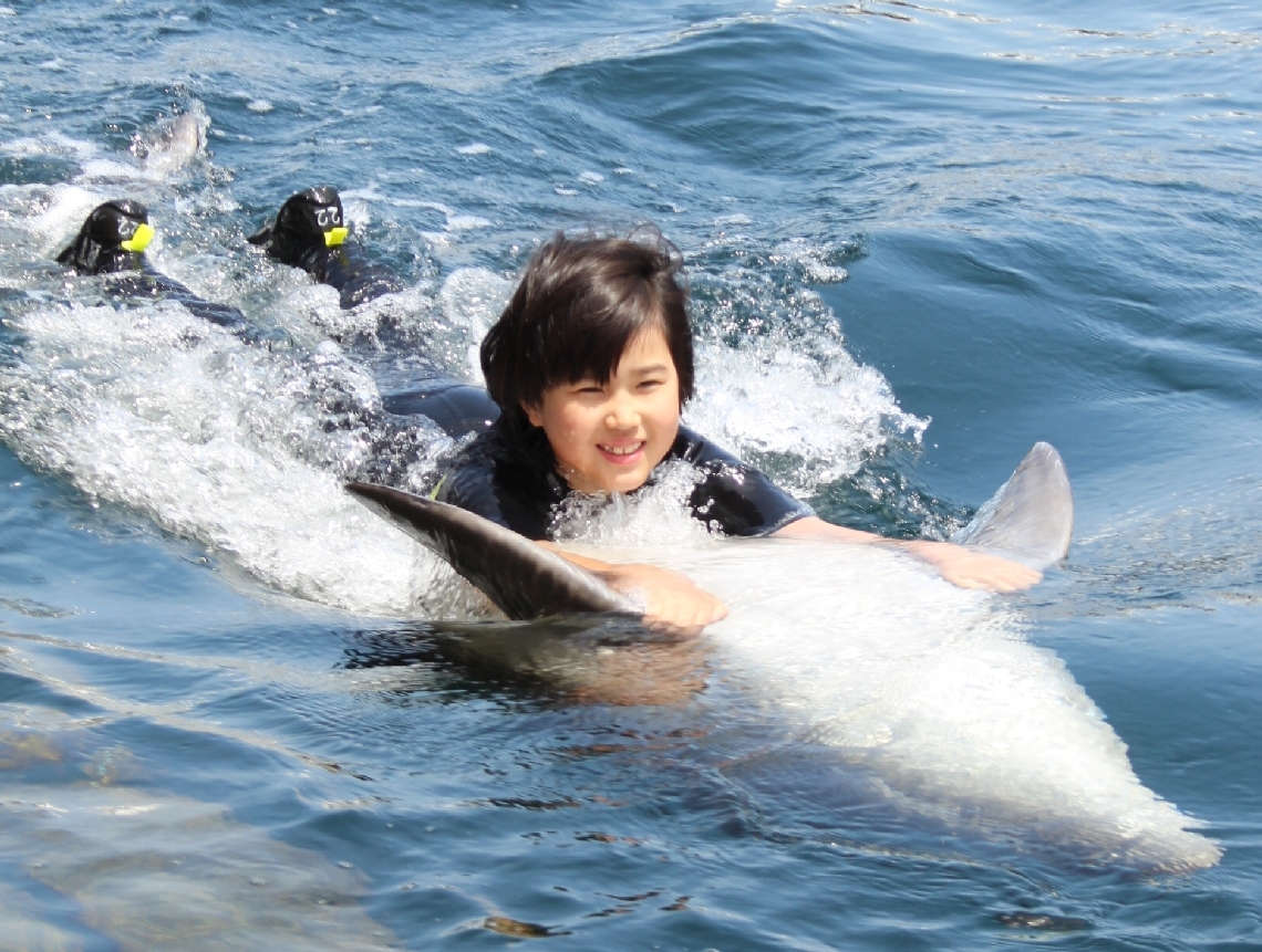 津久見市でイルカ島フェスティバル始まる 大ジャンプに歓声、観光客で
