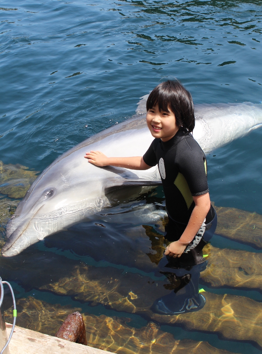 イルカと触れ合う子ども