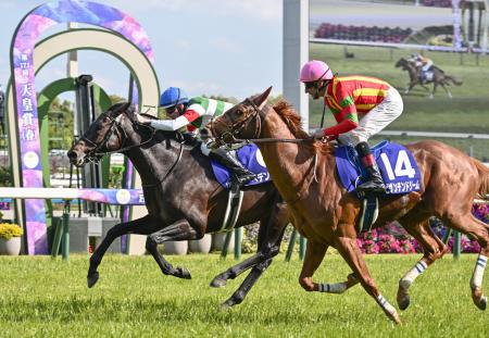 天皇賞・春、ヘデントールが優勝 - 大分のニュースなら 大分合同新聞