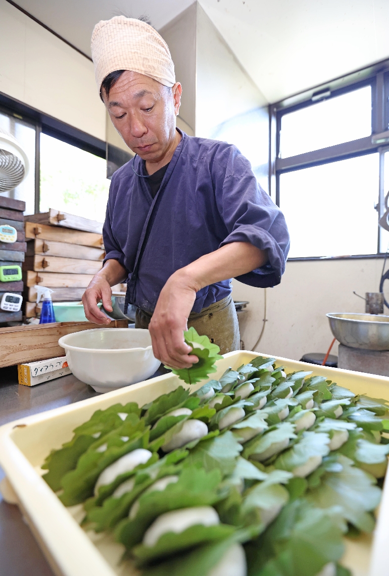 端午の節句の縁起物、かしわ餅を作る岡田幸太郎さん＝４日、臼杵市臼杵のさかいや
