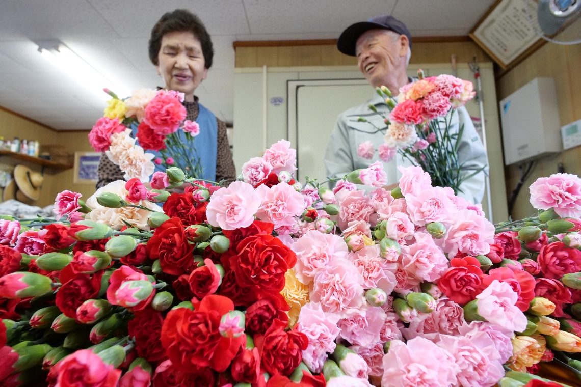 母の日を前に出荷作業に追われる宮崎さん夫婦＝９日午後、大分市上戸次