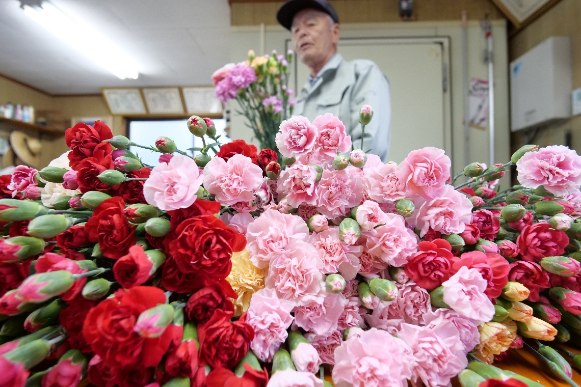 母の日を前に出荷作業に追われる宮崎秋芳さん
