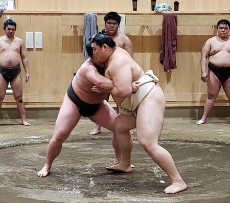 稽古する大の里（手前）＝９日、茨城県阿見町の二所ノ関部屋