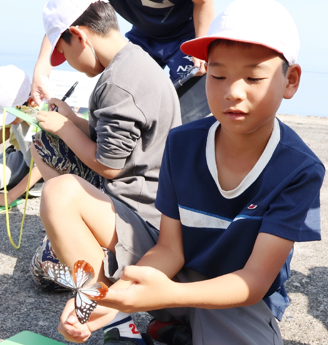 マーキングしたアサギマダラを放す児童