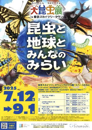 「大昆虫展ｉｎ東京スカイツリータウン」のチラシ