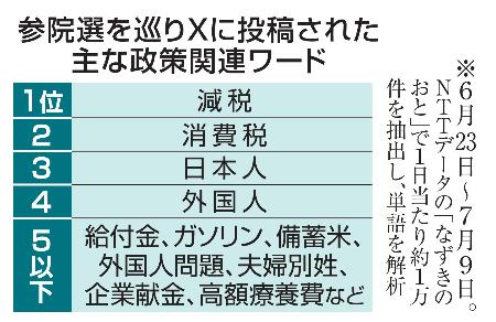 参院選を巡りＸに投稿された主な政策関連ワード