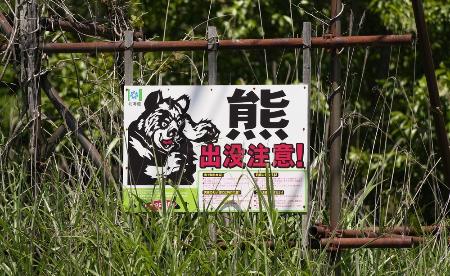 「熊出没注意！」の看板＝１４日、北海道福島町
