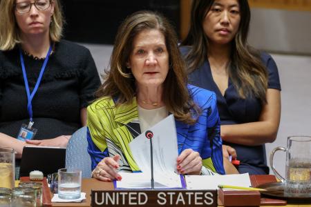 国連安全保障理事会で発言する米国のシェイ国連臨時代理大使＝１７日、ニューヨーク（ロイター＝共同）