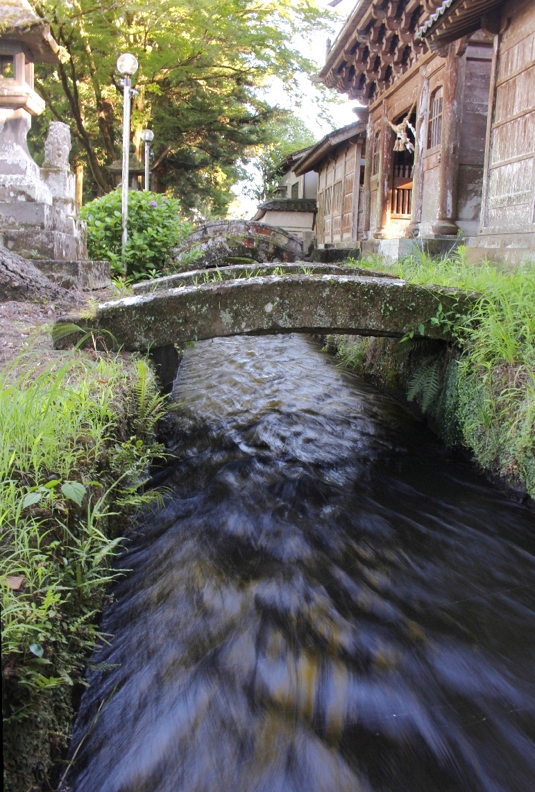 明治期 井村製 水注 里帰り 明治期 井村製 水注 里帰り