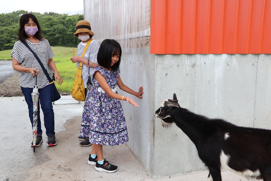 自由に動き回るヤギと触れ合う家族連れ