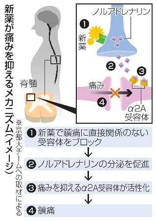 新薬が痛みを抑えるメカニズム（イメージ）
