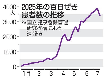 ２０２５年の百日ぜき患者数の推移