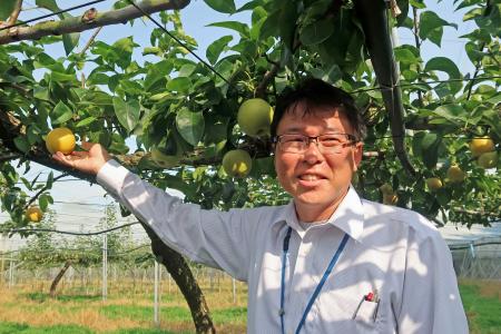 新品種のナシ「蒼月」の説明をする農研機構果樹茶業研究部門の高田教臣グループ長＝５日午後、茨城県つくば市