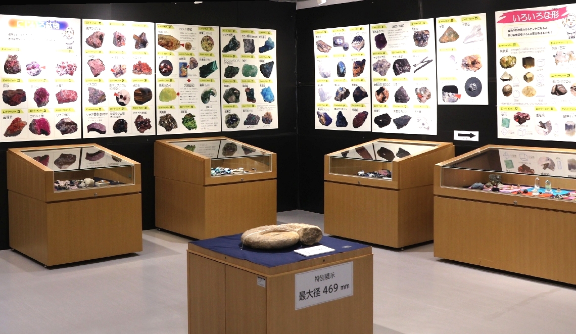 多種多様な約４５０個の石が並ぶ