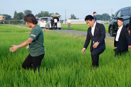 乾いた田んぼに入る小泉農相（中央）＝７月、埼玉県杉戸町