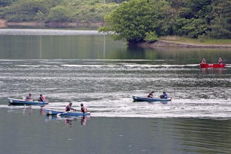 ５月、Ｔ４練習機が墜落した入鹿池で捜索する自衛隊員＝愛知県犬山市