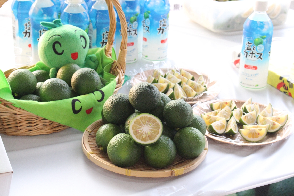 爽やかな香りとまろやかな酸味のカボス＝１９日、大分市公設地方卸売市場