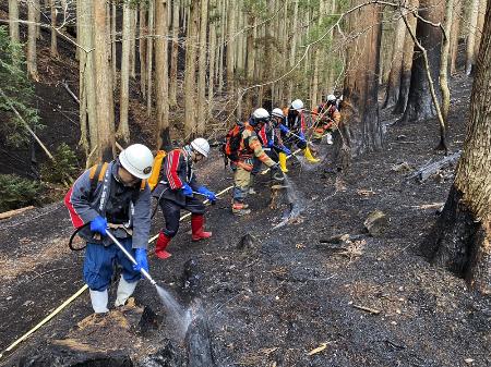 ３月、岩手県大船渡市の山林火災で消火活動する同市の消防団員ら（総務省消防庁提供）