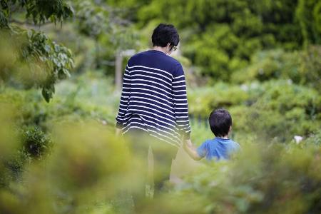 息子の手を握り、公園を散歩するシングルマザー（本文とは関係ありません）
