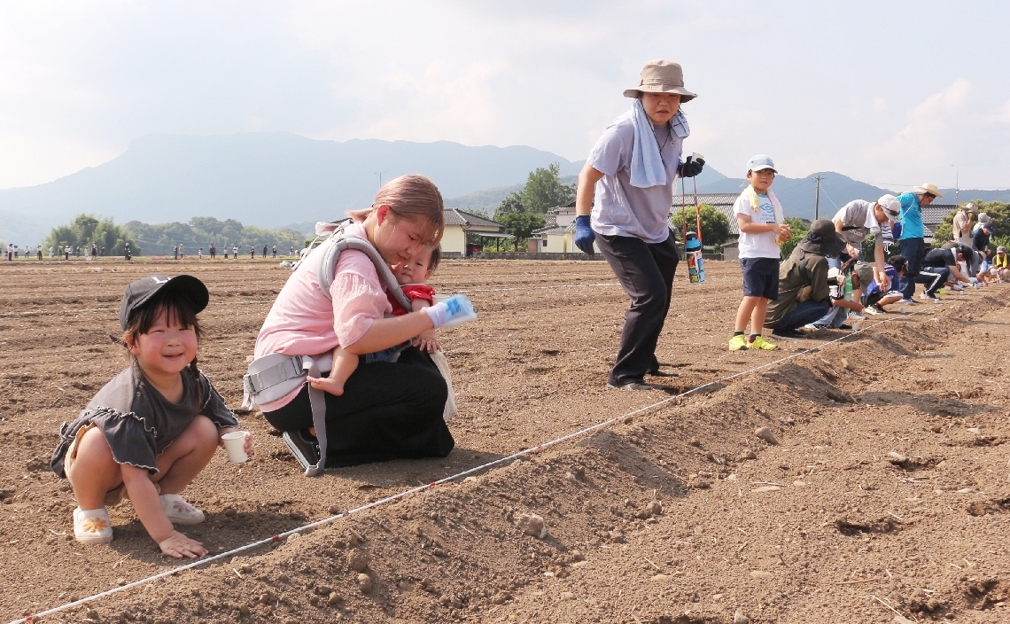 ヒマワリ畑を目指し、コスモス園に種を植える市民＝中津市三光原口