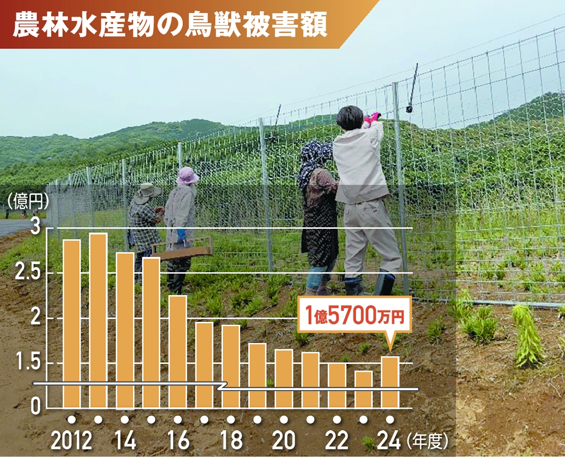 農林水産物の鳥獣被害額。写真は防護柵の設置作業＝豊後大野市犬飼町