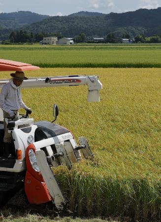 コメの収穫作業＝８月、新潟県三条市