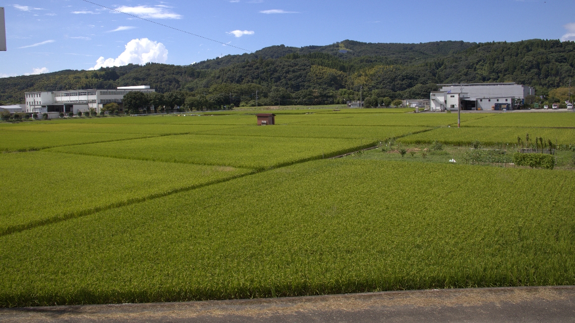 開発候補地の日田市石井地区の農地