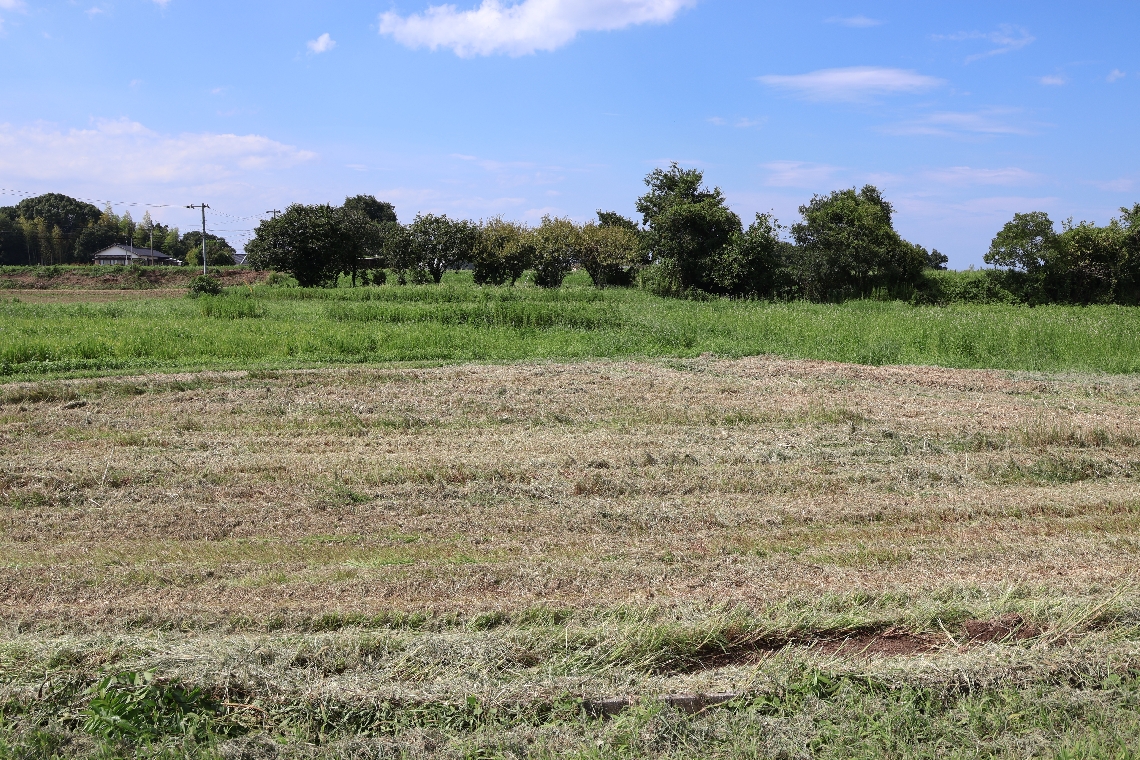 開発候補地の中津市三光臼木諫山の農地