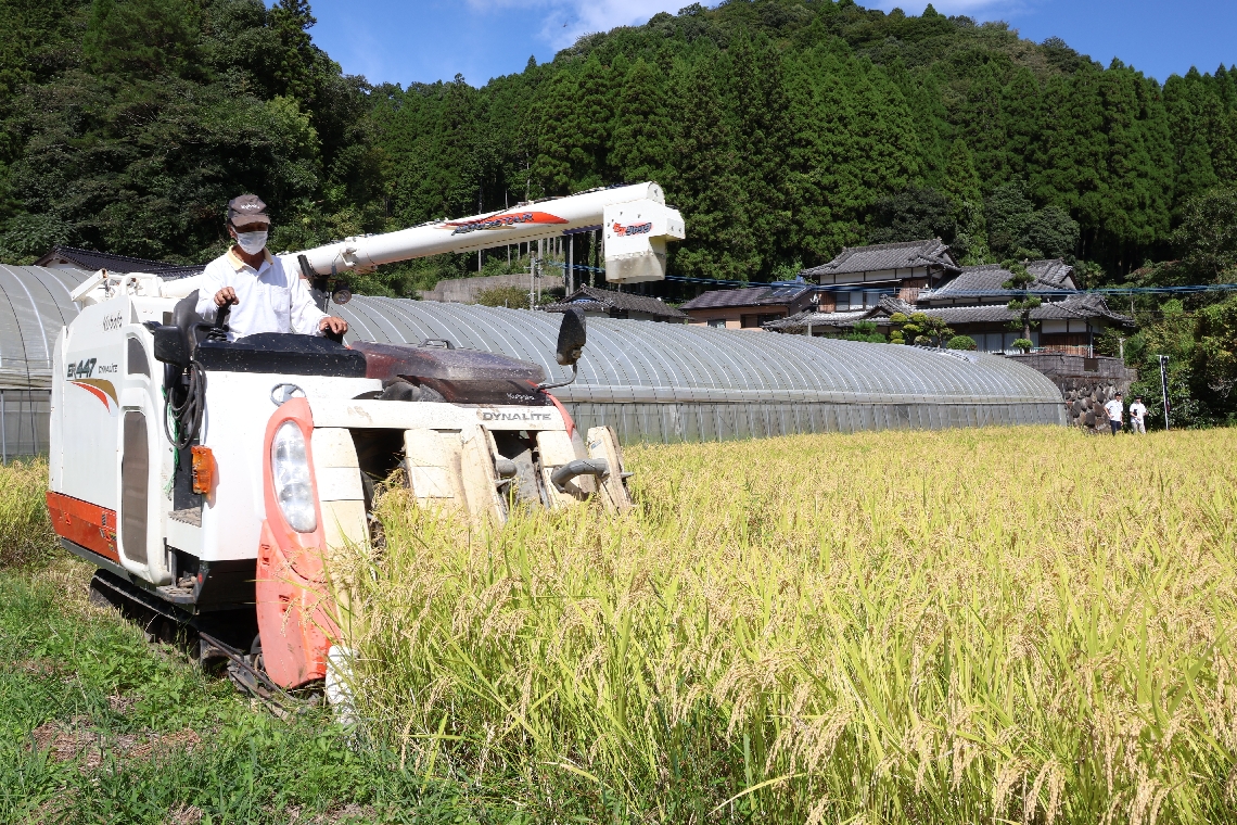 「くす天空の輝き」の候補になるひとめぼれをコンバインで収穫＝玖珠町古後