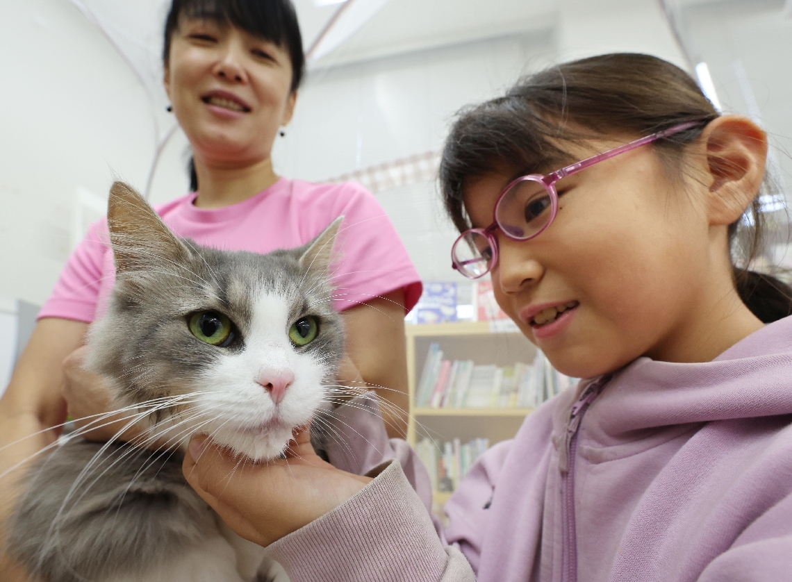 動物たちとのふれあいスペースで、おとなしく子どもになでられる猫