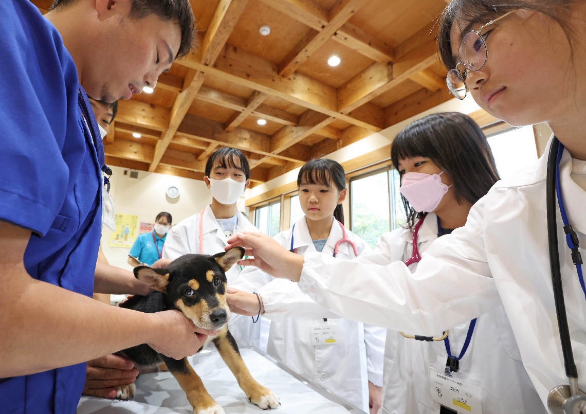 獣医師体験をする子どもたち