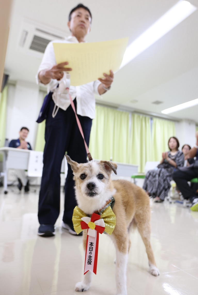長寿を表彰される犬