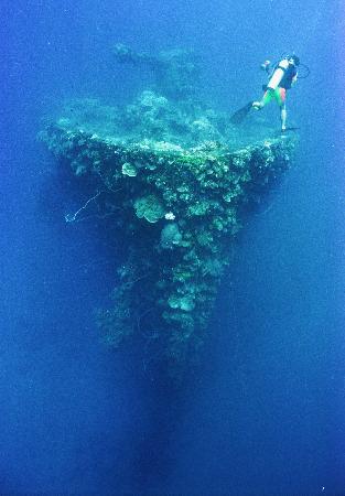 ミクロネシア連邦チューク州のデュブロン島の沖に沈む日本の商船＝２００４年１０月（共同）