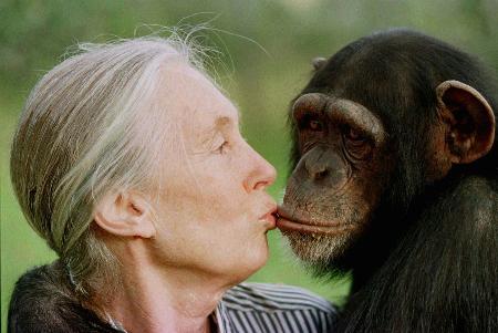 チンパンジーにキスするジェーン・グドールさん＝１９９７年１２月、ケニア（ＡＰ＝共同）