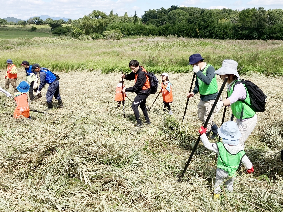 草原で刈った草を集める参加者＝九重町田野の九重ふるさと自然学校