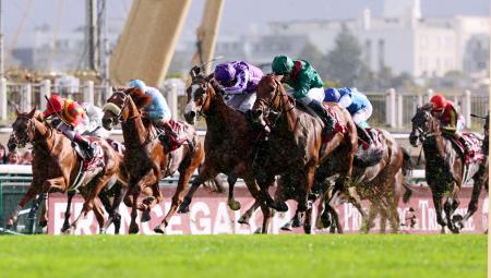 優勝したフランス馬のダリズ（中央右）。左端は日本馬で５着のビザンチンドリーム。右端は日本馬で１４着のクロワデュノール＝パリロンシャン競馬場（共同）