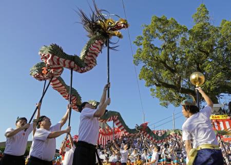 秋の大祭「長崎くんち」で披露された諏訪町の「龍踊」＝７日午前、長崎市の諏訪神社