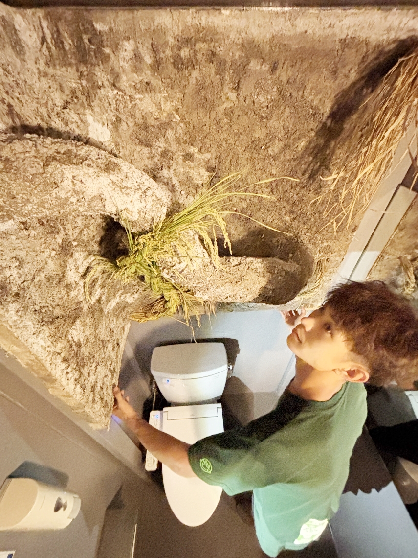 トイレの壁に作品「コメババ」を設置する青トンカチの梅田嵩哉さん